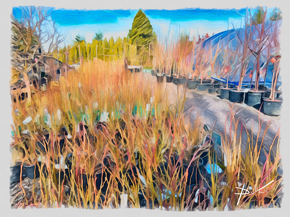 Kitchen Garden At Cornell Farm Art | Cynthia DuVal Creative Studio