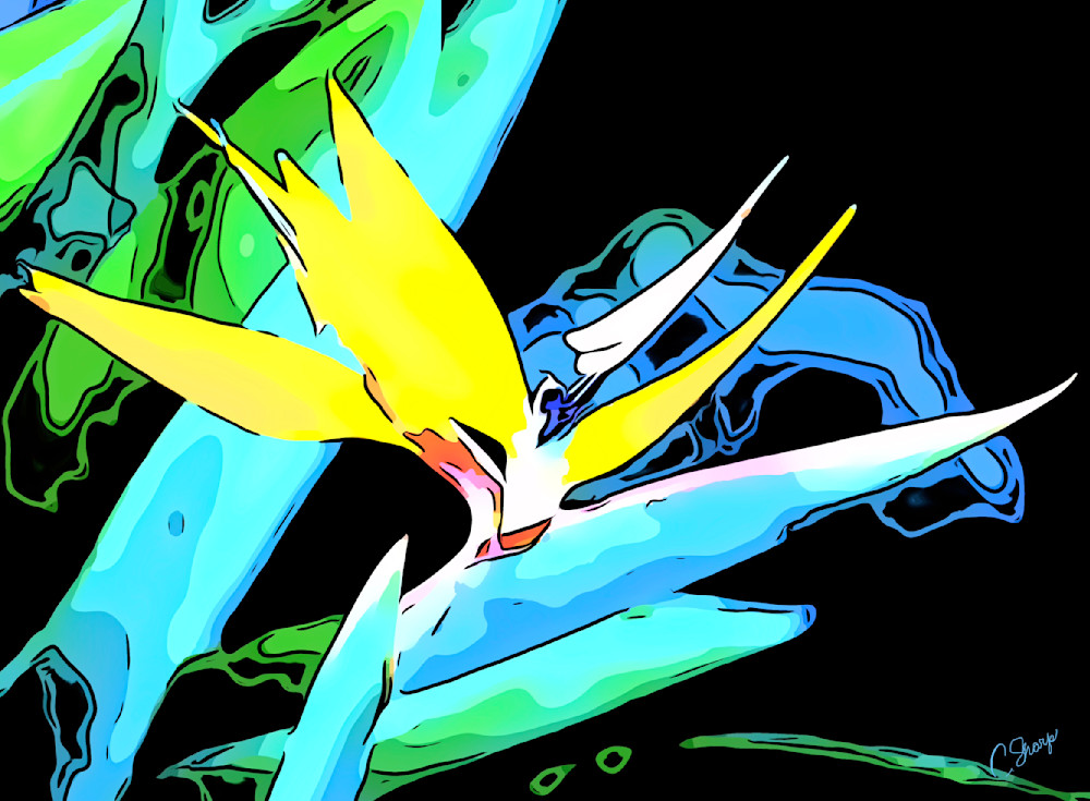 Clip2 Comic 2024 11 20 20 58 37 Art | csharp art