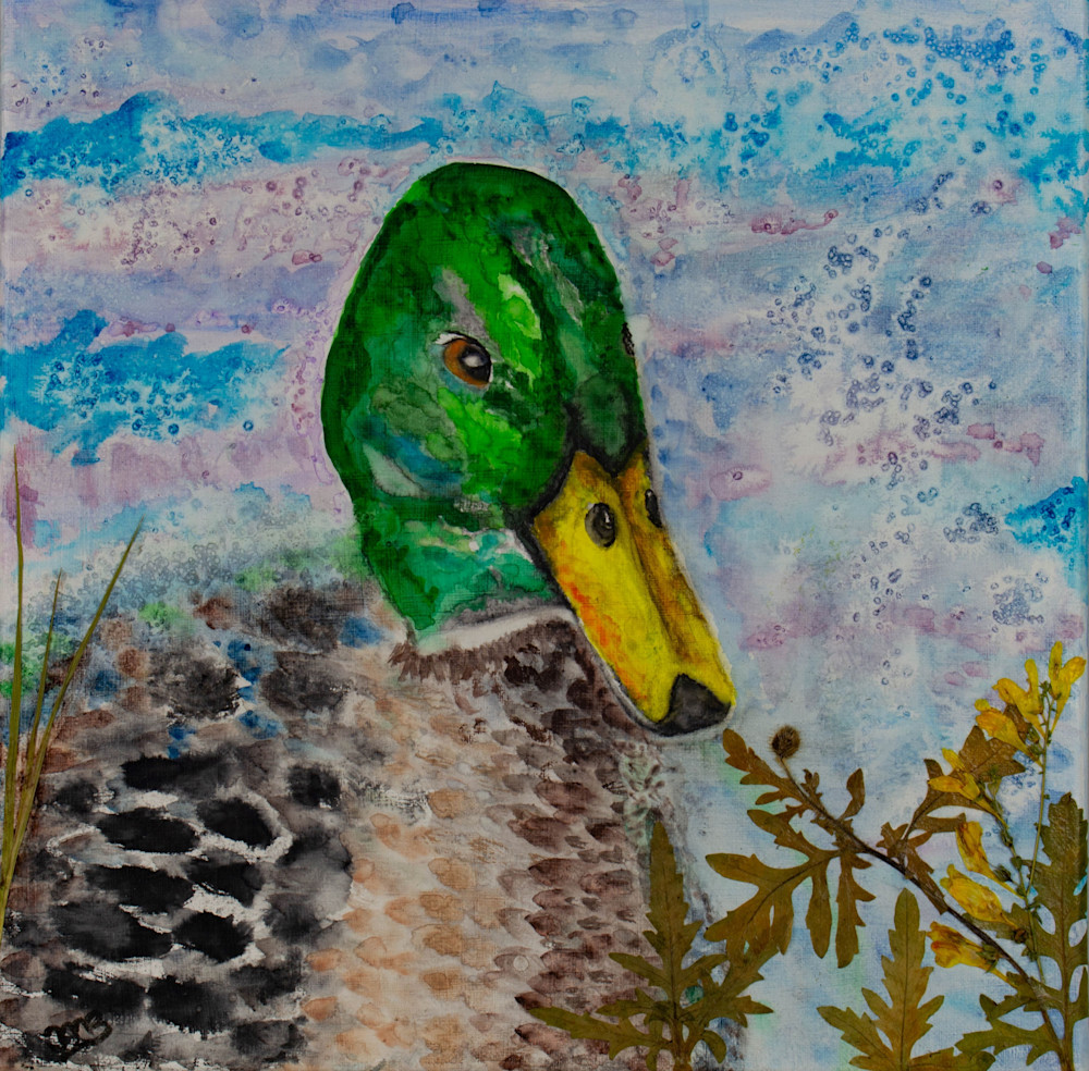 Mallard At Rest - Watercolor Wildlife Painting