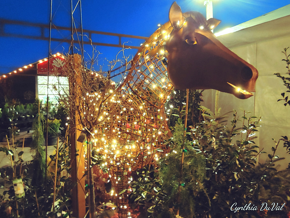 The Iron Horse Art | Cynthia DuVal Creative Studio