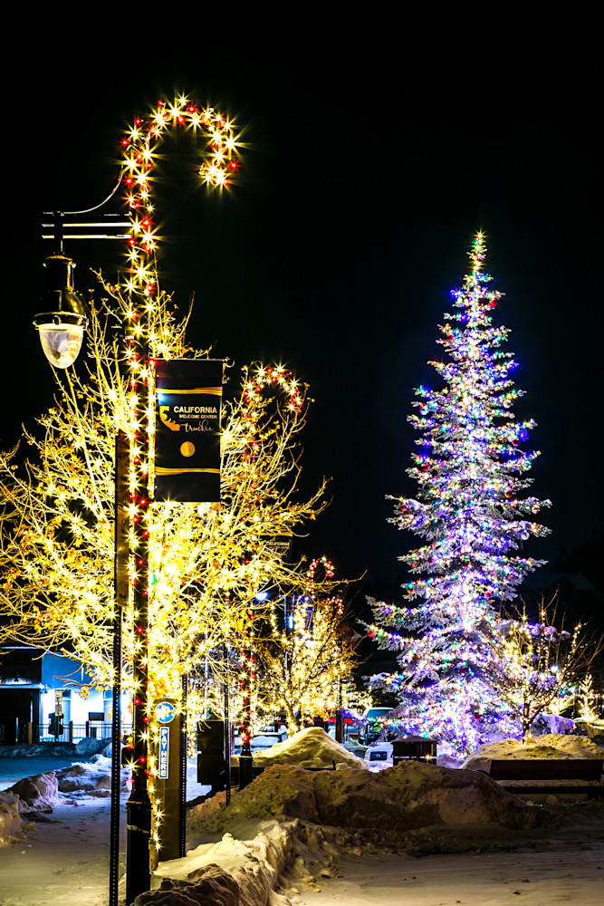 Snowy Christmas Tree in Truckee 19