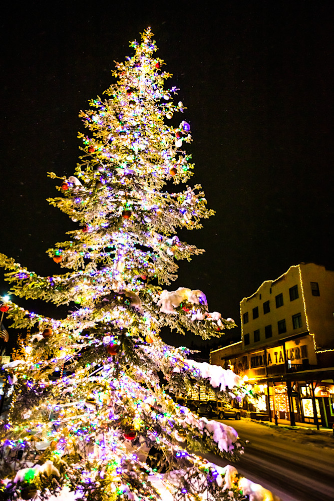 Snowy Christmas Tree in Truckee 16