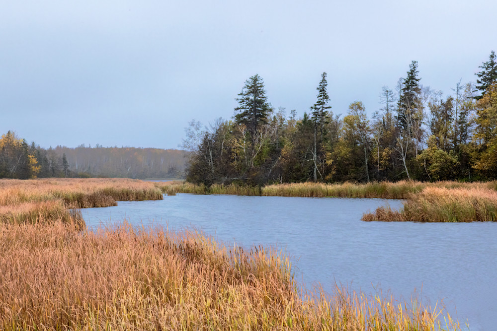 Pond And Pines New Brunswick Photography Art | Dana Echols Photography 