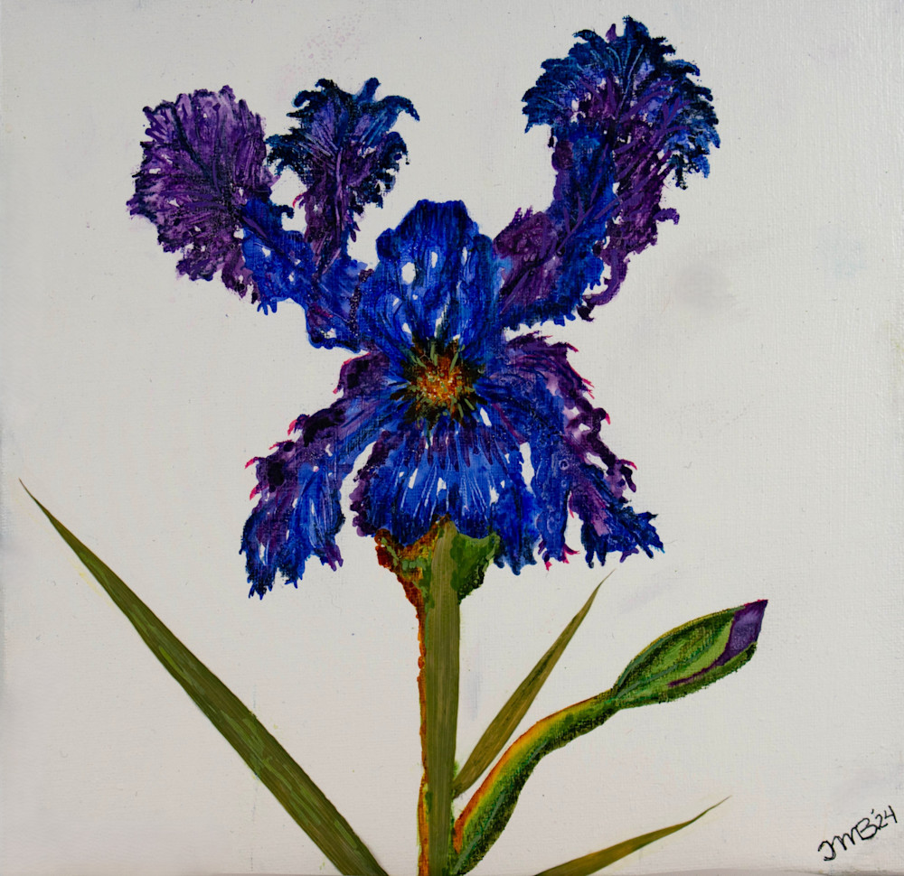 Blue Bearded Iris Art | Left Brain Creative - Art by JMB