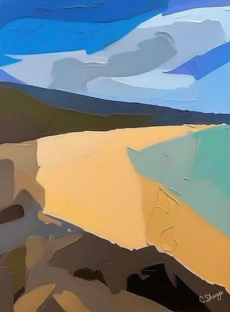 Life S A Beach Art | csharp art