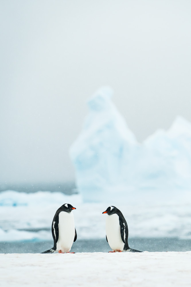 Chatting Away Chatting Away