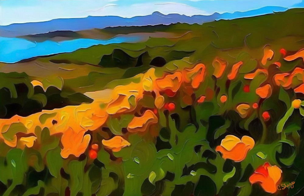 Superbloom Ca Coast Art | csharp art