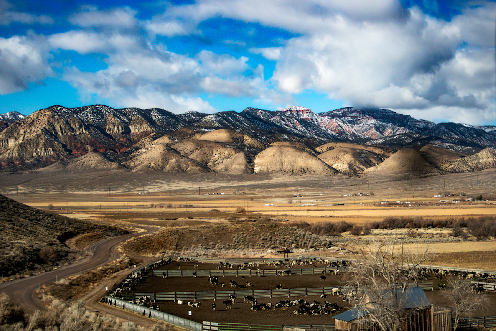 Stunning Landscape Artwork Featuring Mountains and Cattle