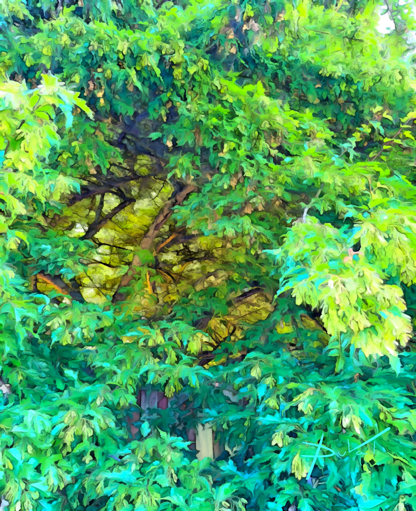 Into The Canopy Art | Cynthia DuVal Creative Studio