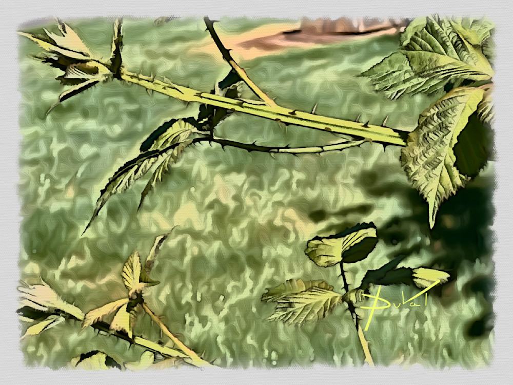 A Thorny Oregon Moment Art | Cynthia DuVal Creative Studio