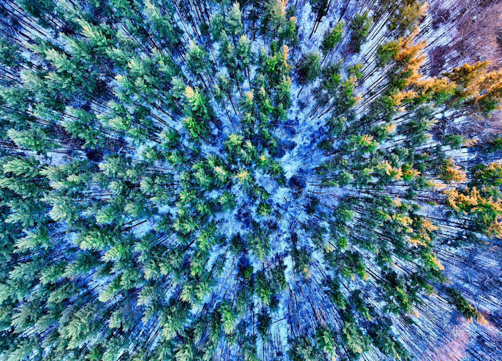 Winter's Aerial Quilt Photography Art | Artistic Insights Aerial Photography