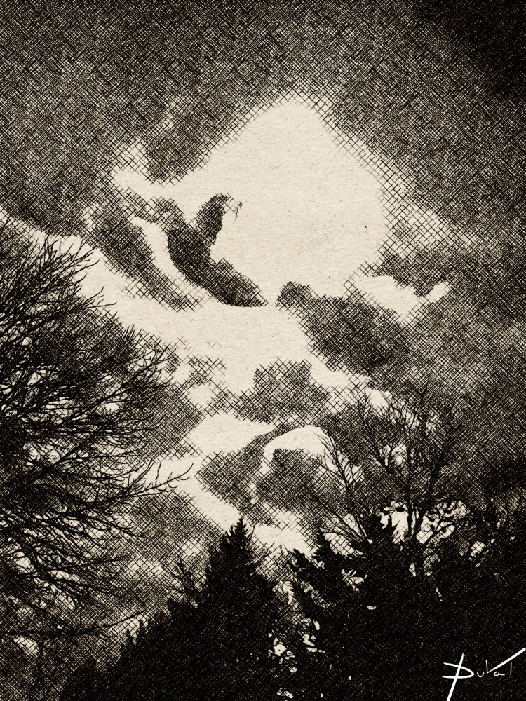 January Moon Glow #2 Art | Cynthia DuVal Creative Studio