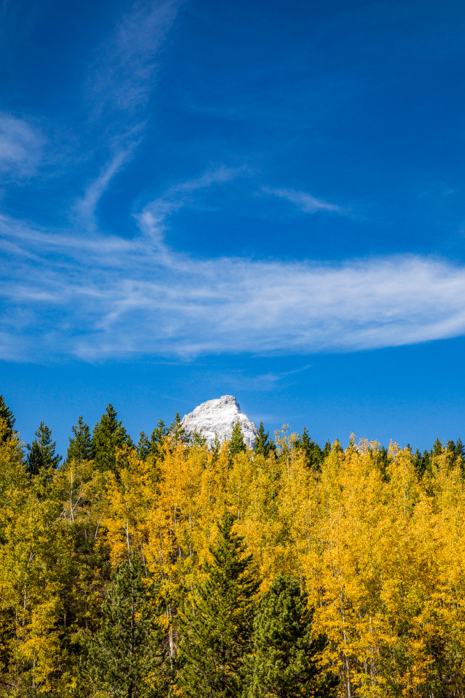 Tetons National Park from near Taggart Lake Trailhead. Grand Teton peaking over the trees on the foreground ridge. Wyoming, USA.