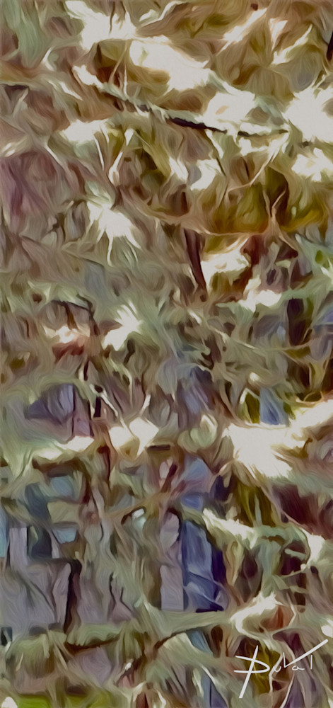 Climbing Vine with Snow