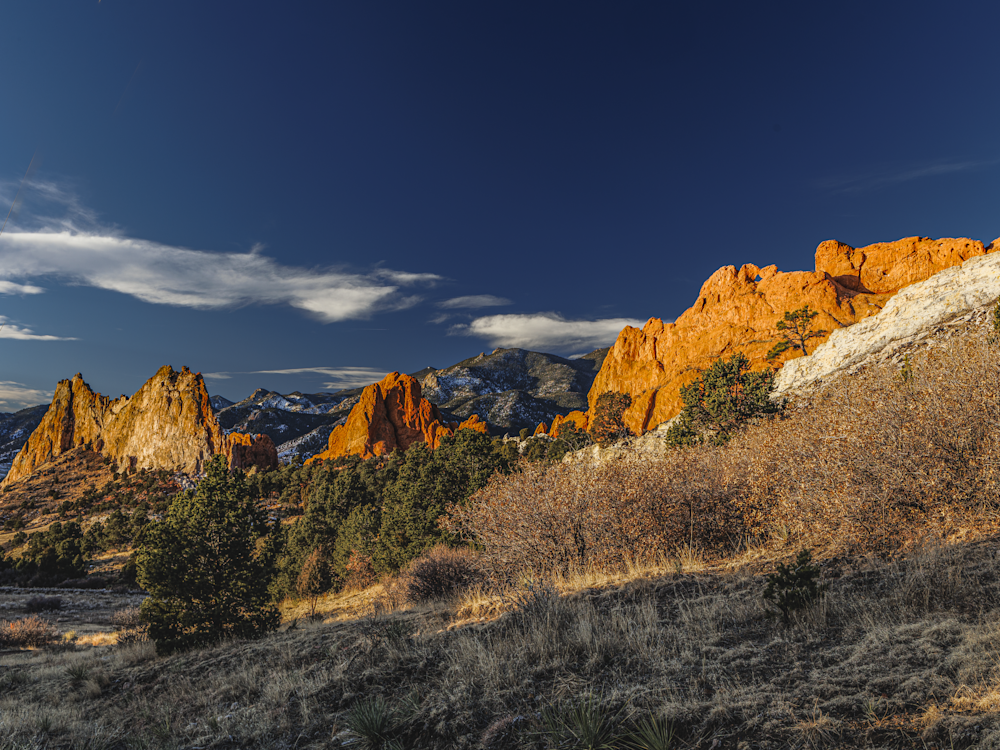 Tranquil Morning In The Garden - Colorado Landscape Photography