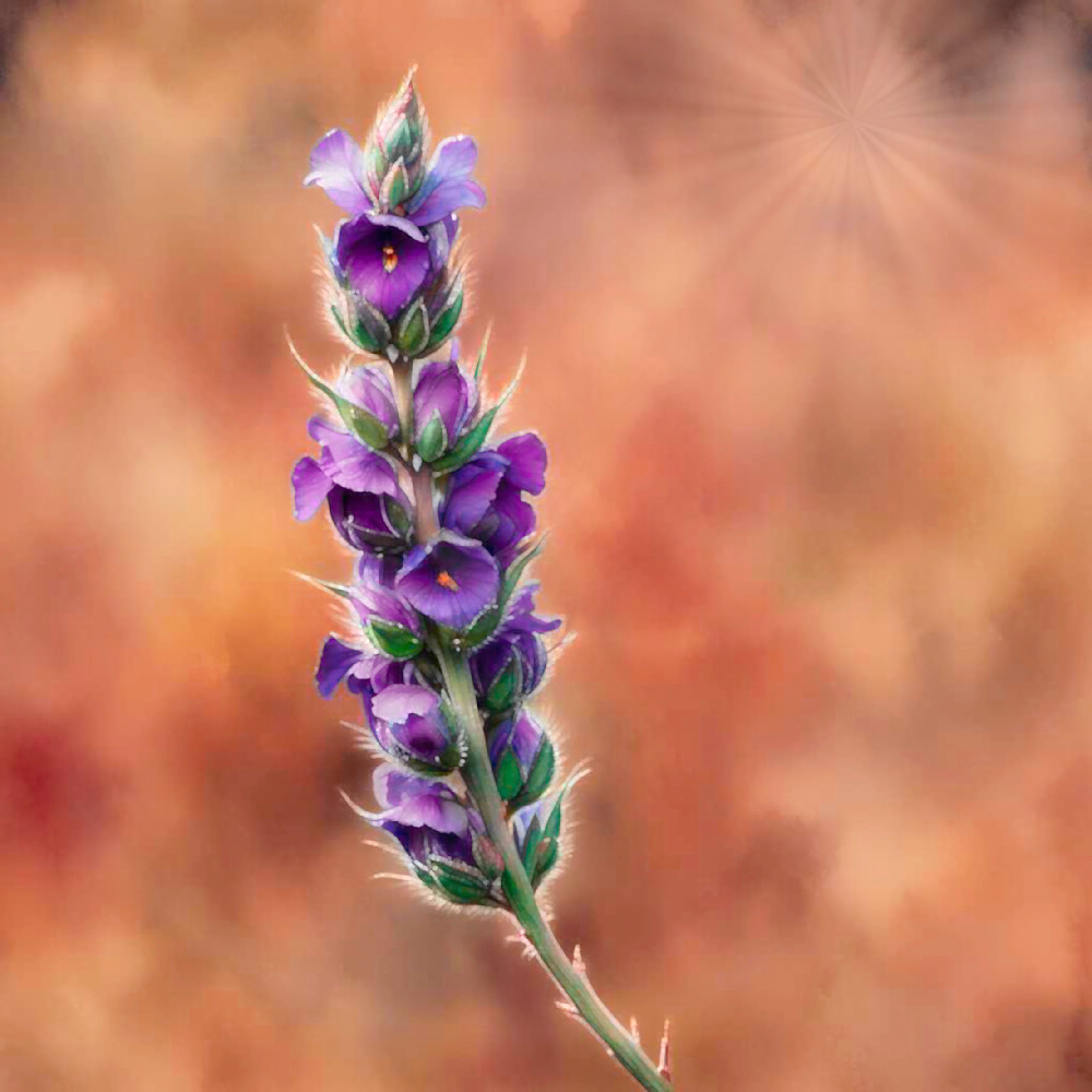 Nature's Lavender Blossom: A Floral Delight
