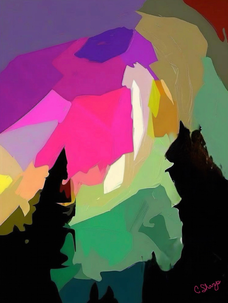 Aurora Northwest Art | csharp art