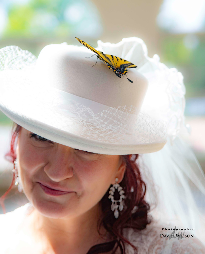 Dmw 1542 Photography Art | Photographer David Wilson, LLC