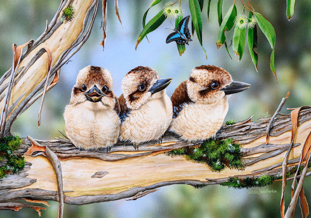 "Family Laughter" - Laughing Kookaburra Art Print | Natalie Jane Parker "Family Laughter" - Laughing Kookaburra Art Print | Natalie Jane Parker