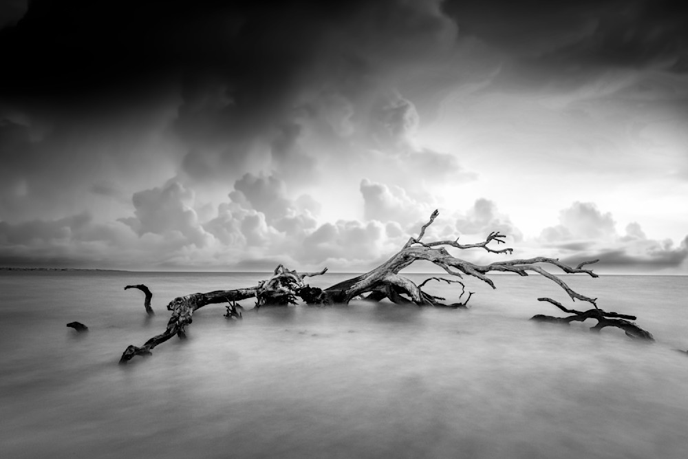 Jekyll Island Photos B&W | Images | Georgia | GA | Pics