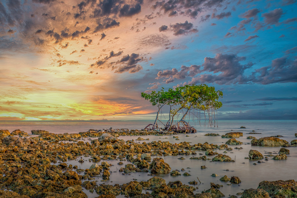 Florida Keys Pictures | Photos | Images | FL