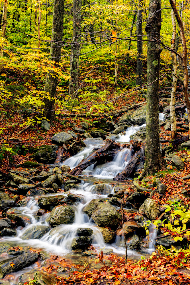 426 A2978   Copy Photography Art | Dana Echols Photography 