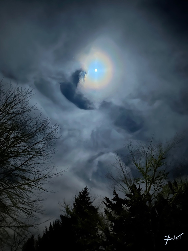 January Moon Glow #1 Art | Cynthia DuVal Creative Studio