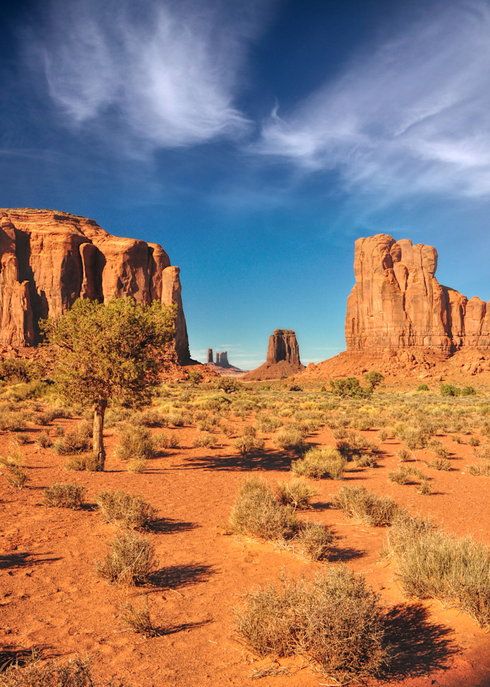 Thunderbird Art | tommurray