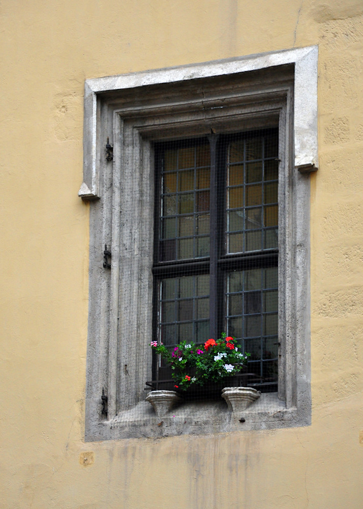 Blumen In Der Witwe Art | tommurray