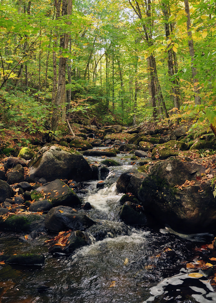 Babble Art | tommurray