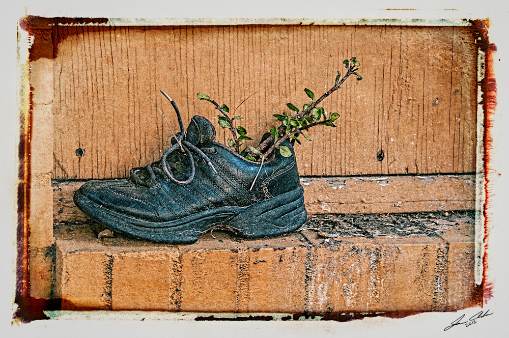 A Vintage Shoe's New Life