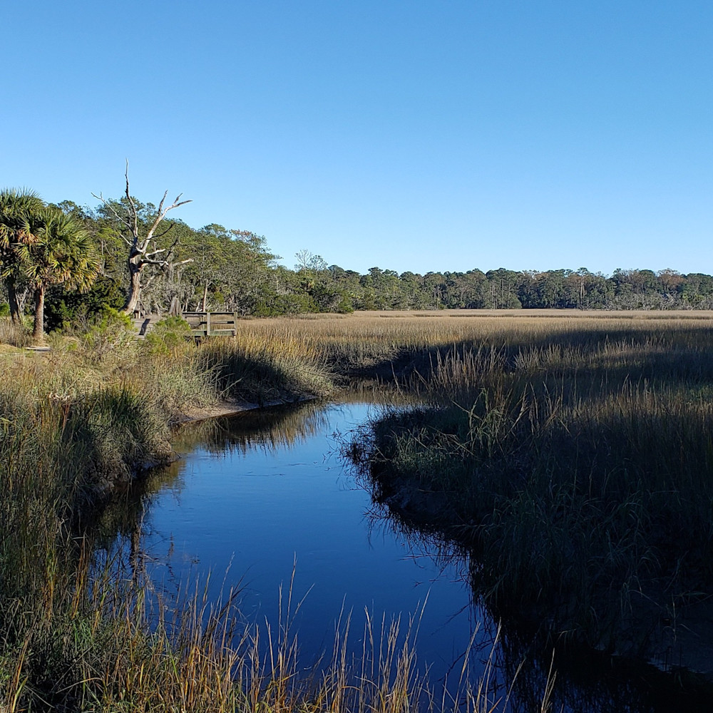 Skidaway Water Photography Art | Sandra S Newman Photographer