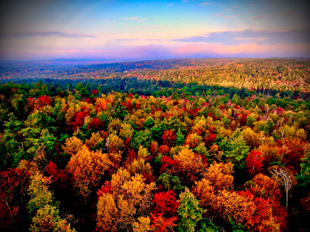 Autumns Aerial Symphony   Orange Yellow And Green Photography Art | Artistic Insights Aerial Photography
