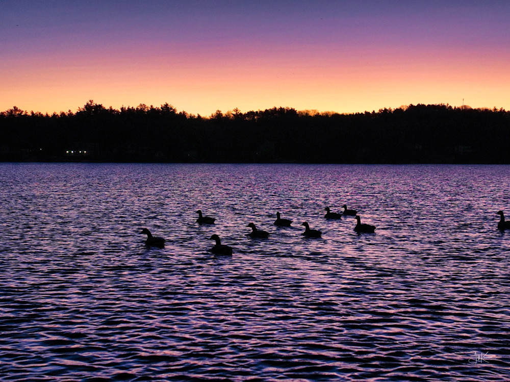 Ducks At Dusk Photography Art | Artistic Insights Aerial Photography
