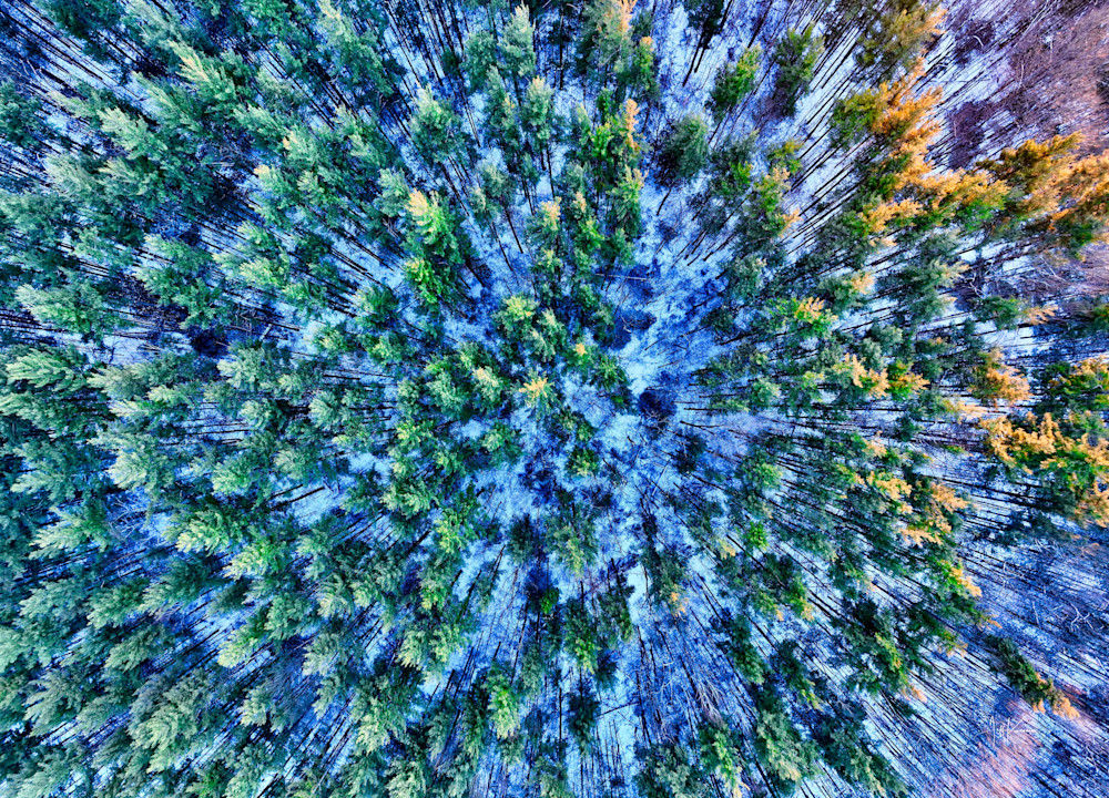 Winters Aerial Quilt Photography Art | Artistic Insights Aerial Photography