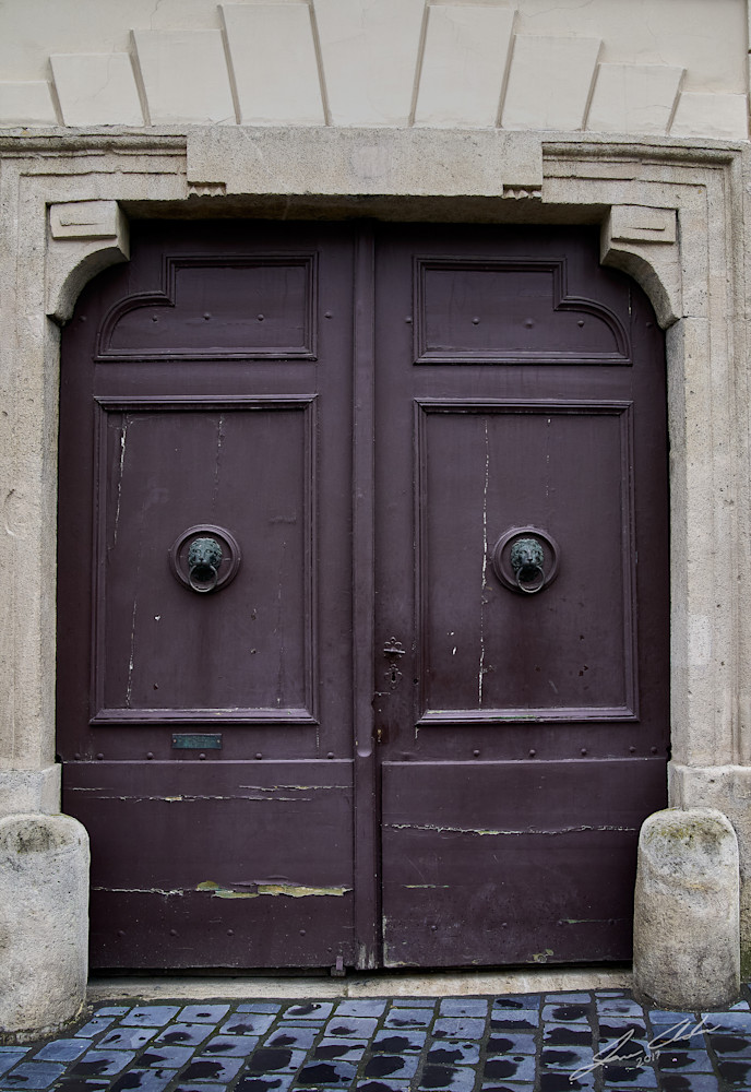 Double Door with lions as door knockers