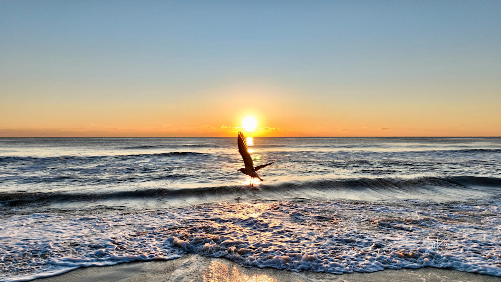 Morning Soar Photography Art | Artistic Insights Aerial Photography