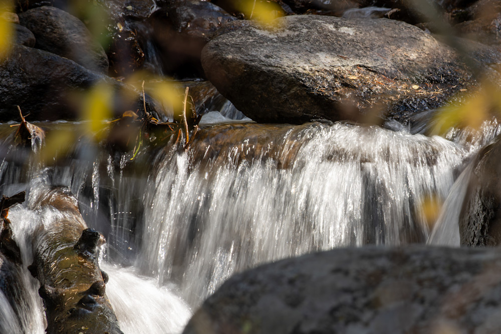 Fall 22 Photography Art | Lazy J Z Photography