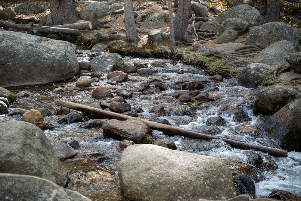 Fall 27 Photography Art | Lazy J Z Photography