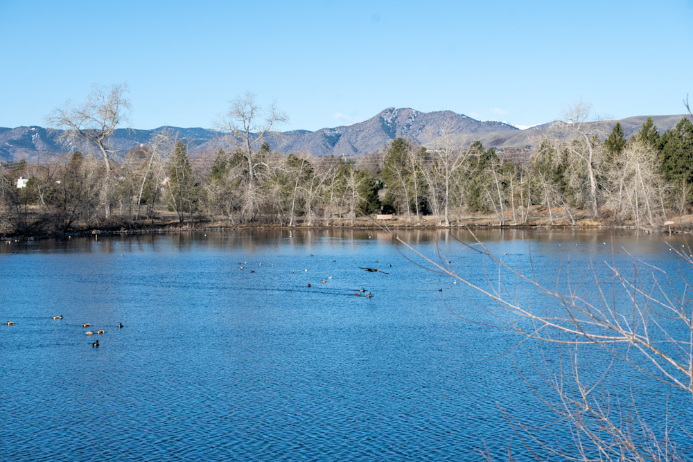 Dsc 0285 Enhanced Nr Photography Art | Lazy J Z Photography