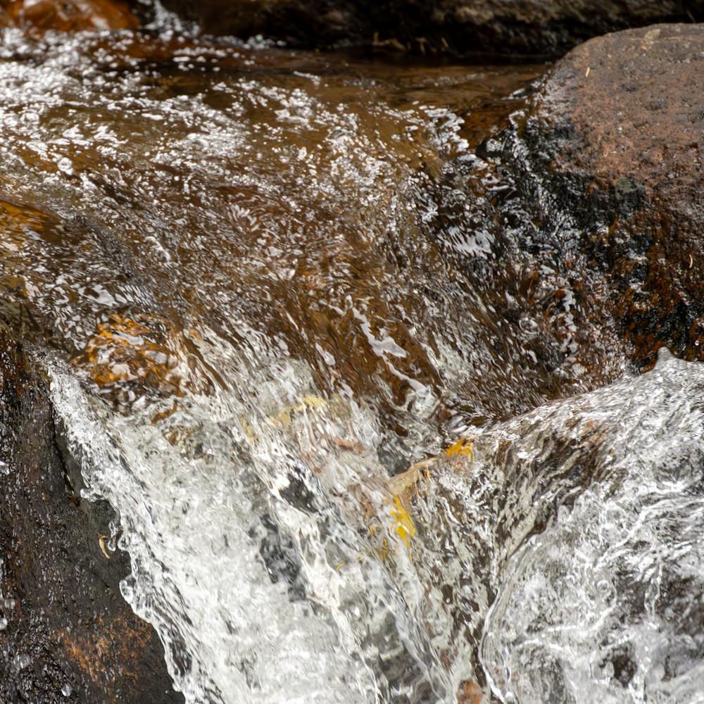 Dsc 1065 Enhanced Nr Photography Art | Lazy J Z Photography