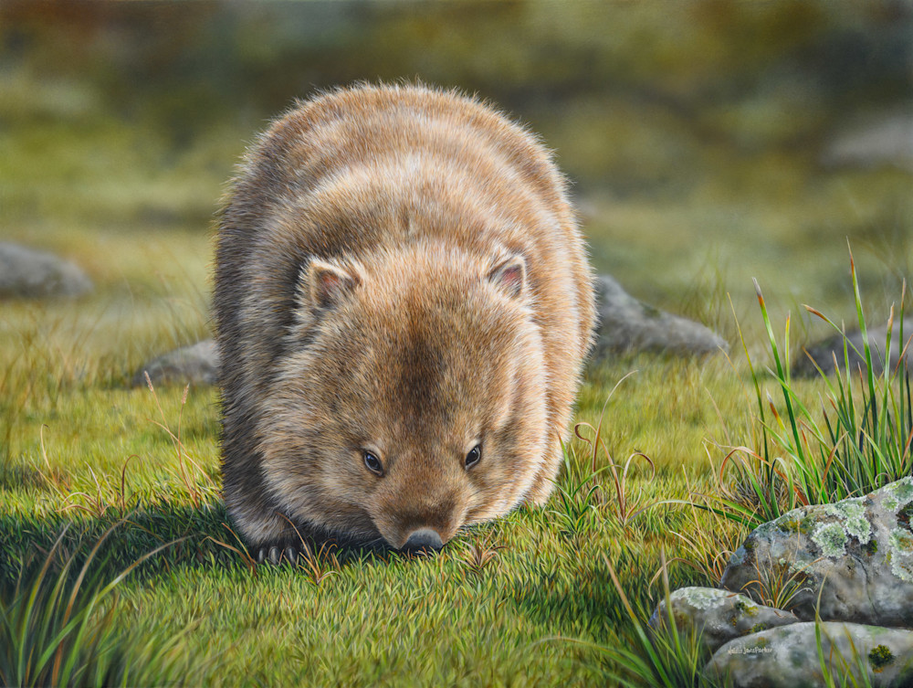 Wombat Art Print | "Wombat Whiskers" by Natalie Jane Parker