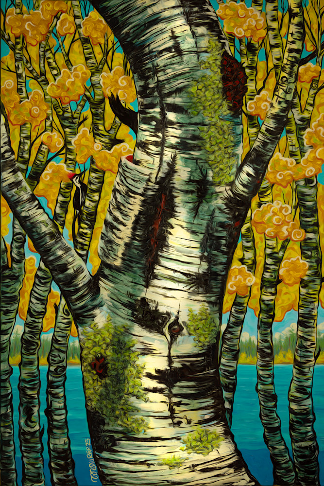 Birch Forest