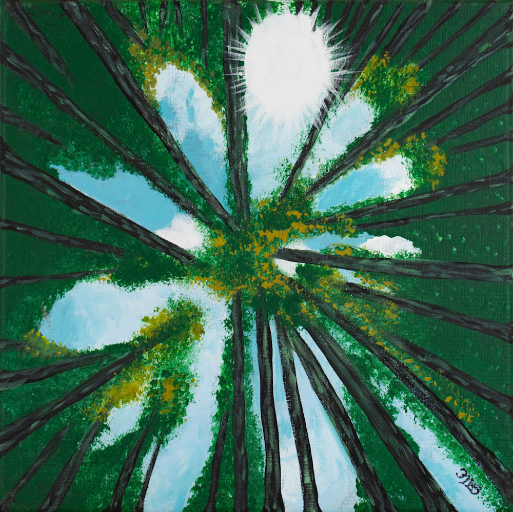 Beneath The Canopy Art | Left Brain Creative - Art by JMB