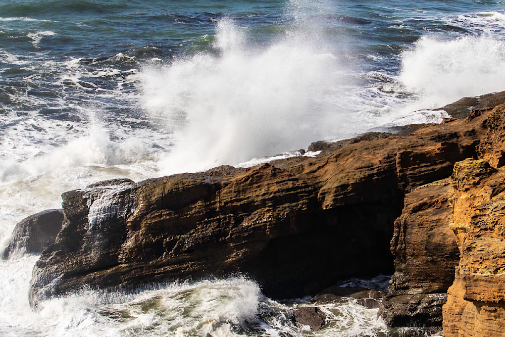 Spring on The Oregon Coast 2025