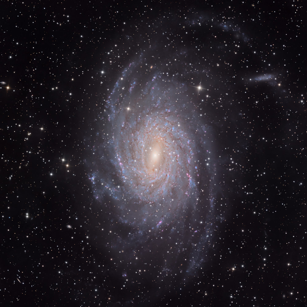 Ngc 6744  – Wide Closeup – Spiral Galaxy Astrophotography Print | Deep Space Wall Art Wall Art | Spiral Galaxy Decor | Deep Space Astronomy Gift Photography Art | MaximAstroPhoto