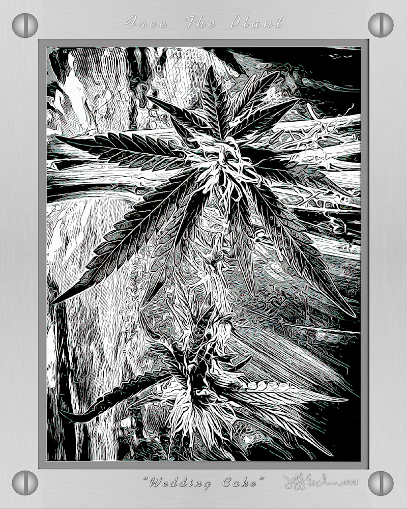 Wedding Cake Toon 01 Stainless 16x20 Print Photography Art | Jeffrey Eichen