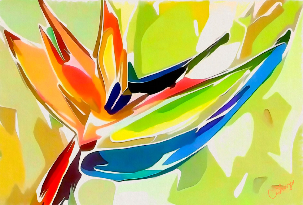 Bird Of Paradise Final Art | csharp art