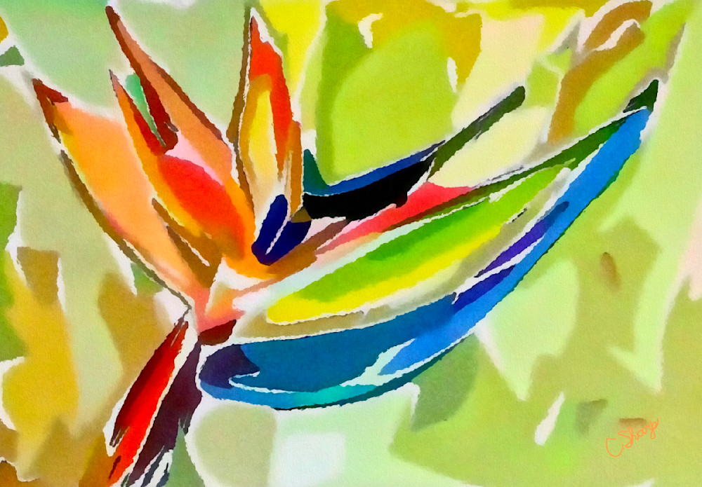 Bird Of Paradise Wc Art | csharp art