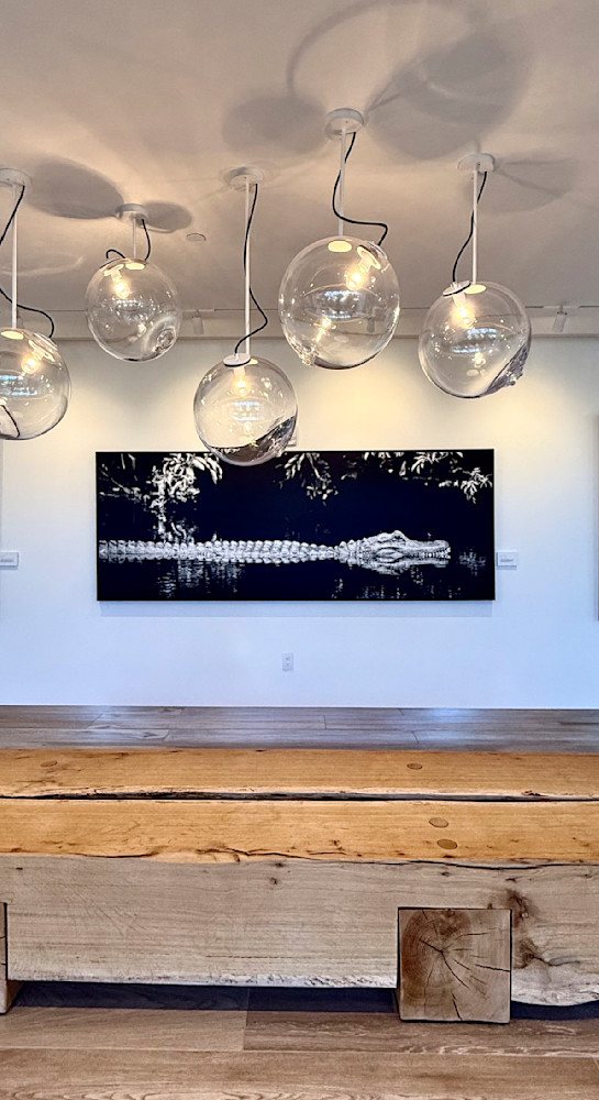 Img 4099 Photography Art | Dennis Goodman Photography, Inc.